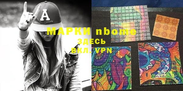 прущие грибы Инсар
