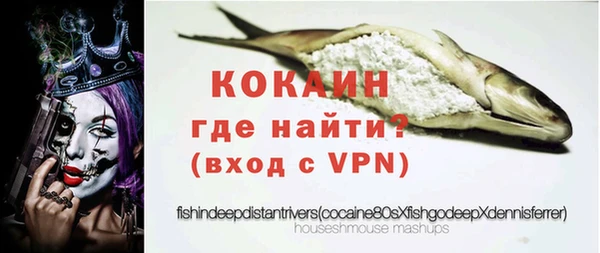 прущие грибы Инсар