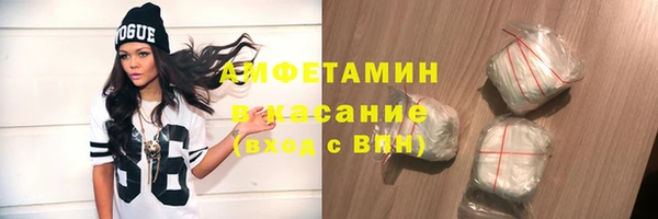 прущие грибы Инсар
