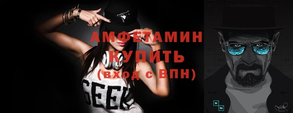 прущие грибы Инсар