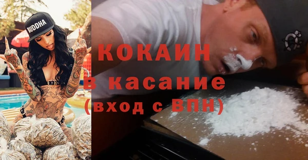 прущие грибы Инсар