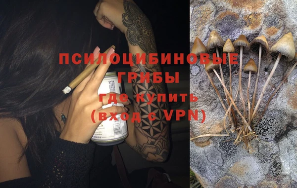 прущие грибы Инсар