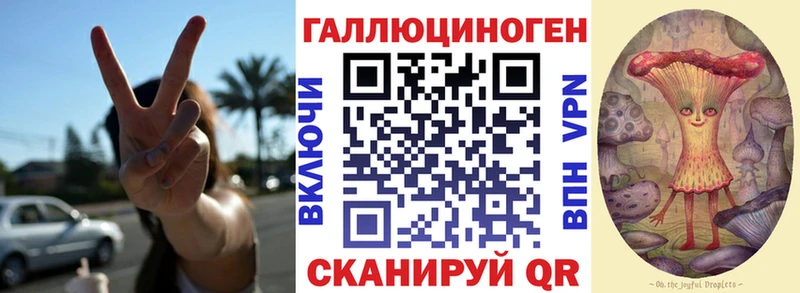 Галлюциногенные грибы Psilocybe  Купить  Черемхово 